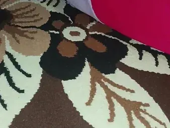 Indian Bhabhi gets her good-sized bootie gobbled just about Desi BBM vid